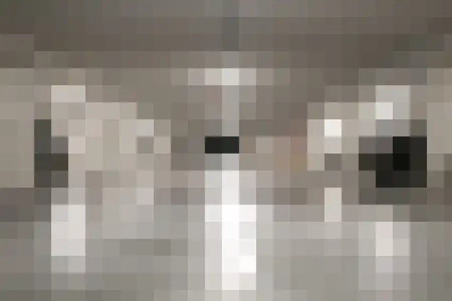 Oostelijke Handelskade 863 Amsterdam thumbnail 4