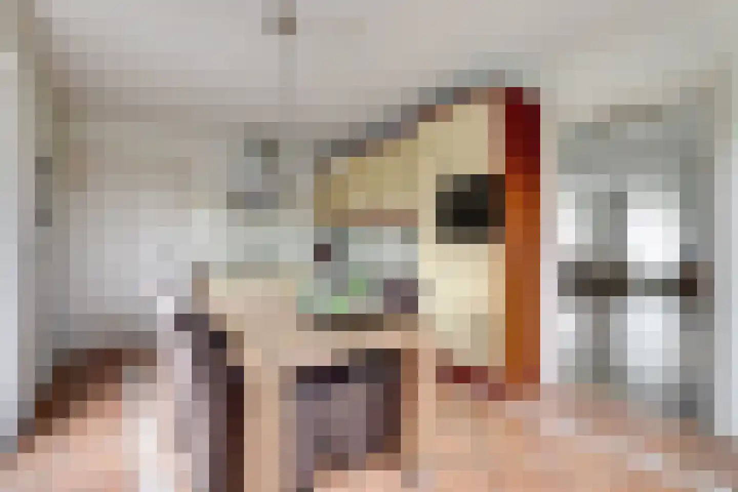 Oostelijke Koppelveenweg 12 Emmer-Compascuum thumbnail 12