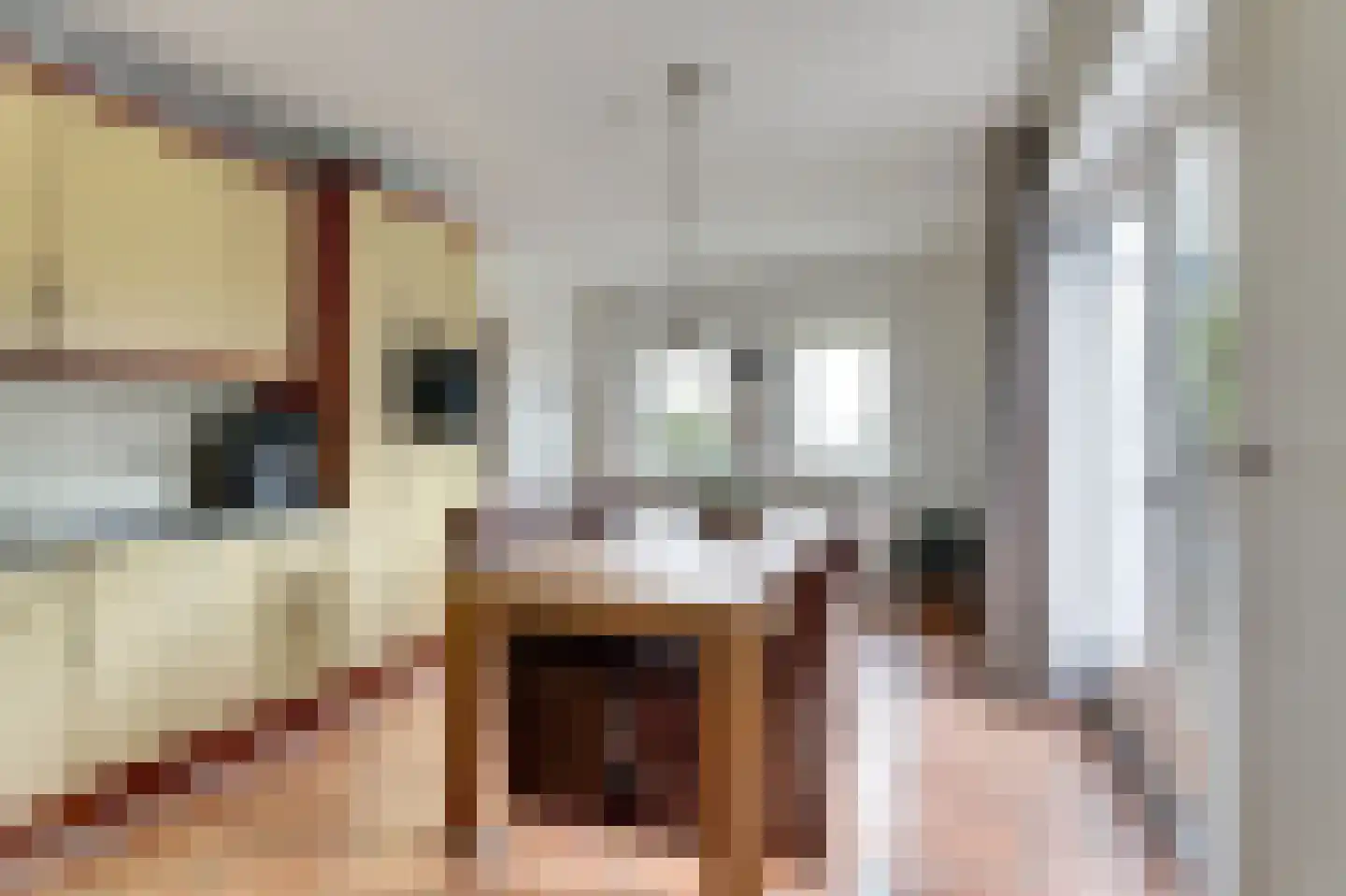 Oostelijke Koppelveenweg 12 Emmer-Compascuum thumbnail 14