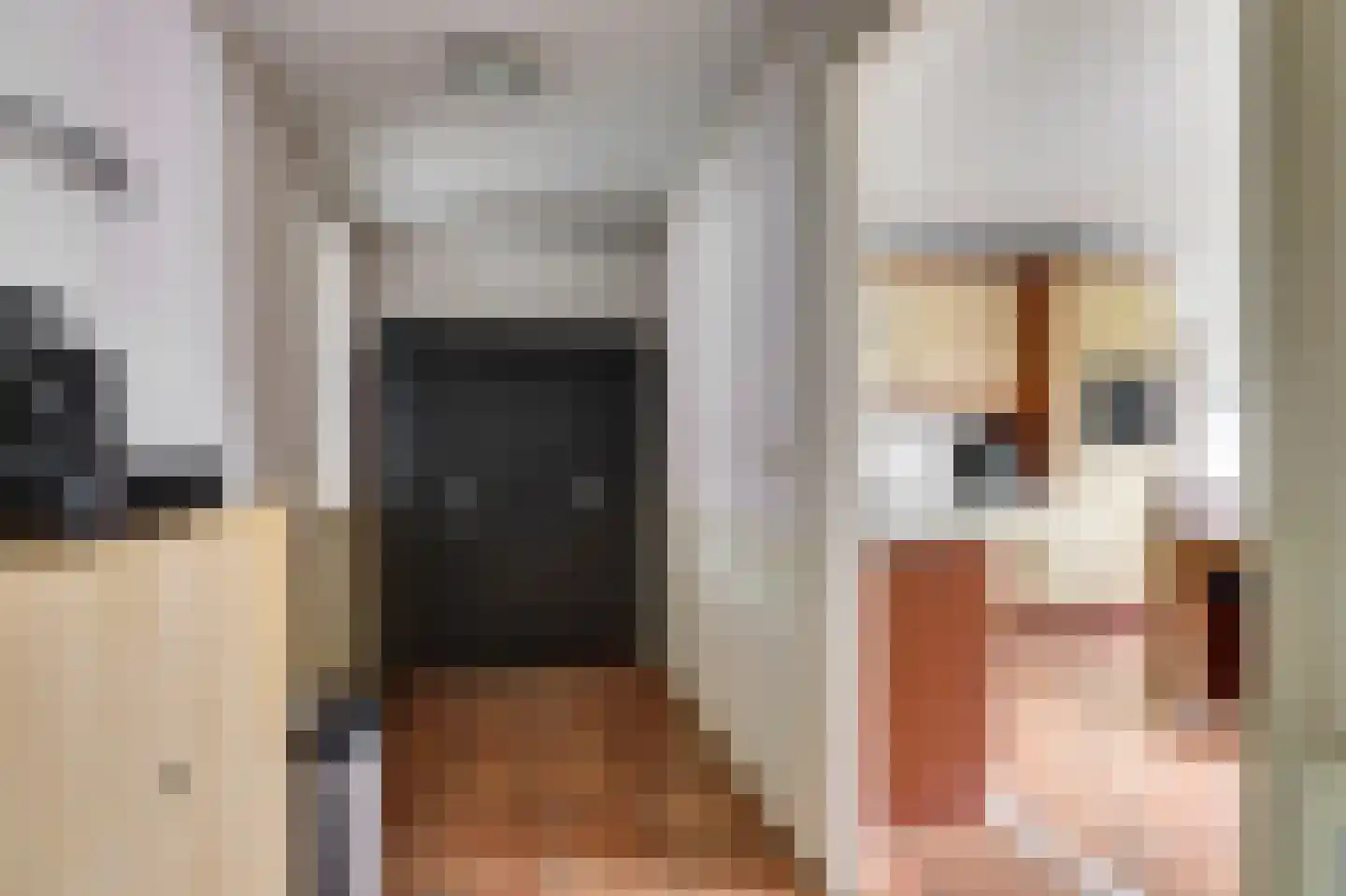 Oostelijke Koppelveenweg 12 Emmer-Compascuum thumbnail 15