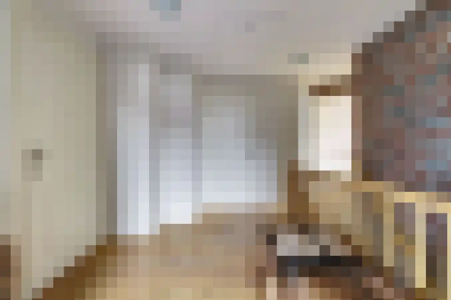 Oostelijke Koppelveenweg 12 Emmer-Compascuum thumbnail 18