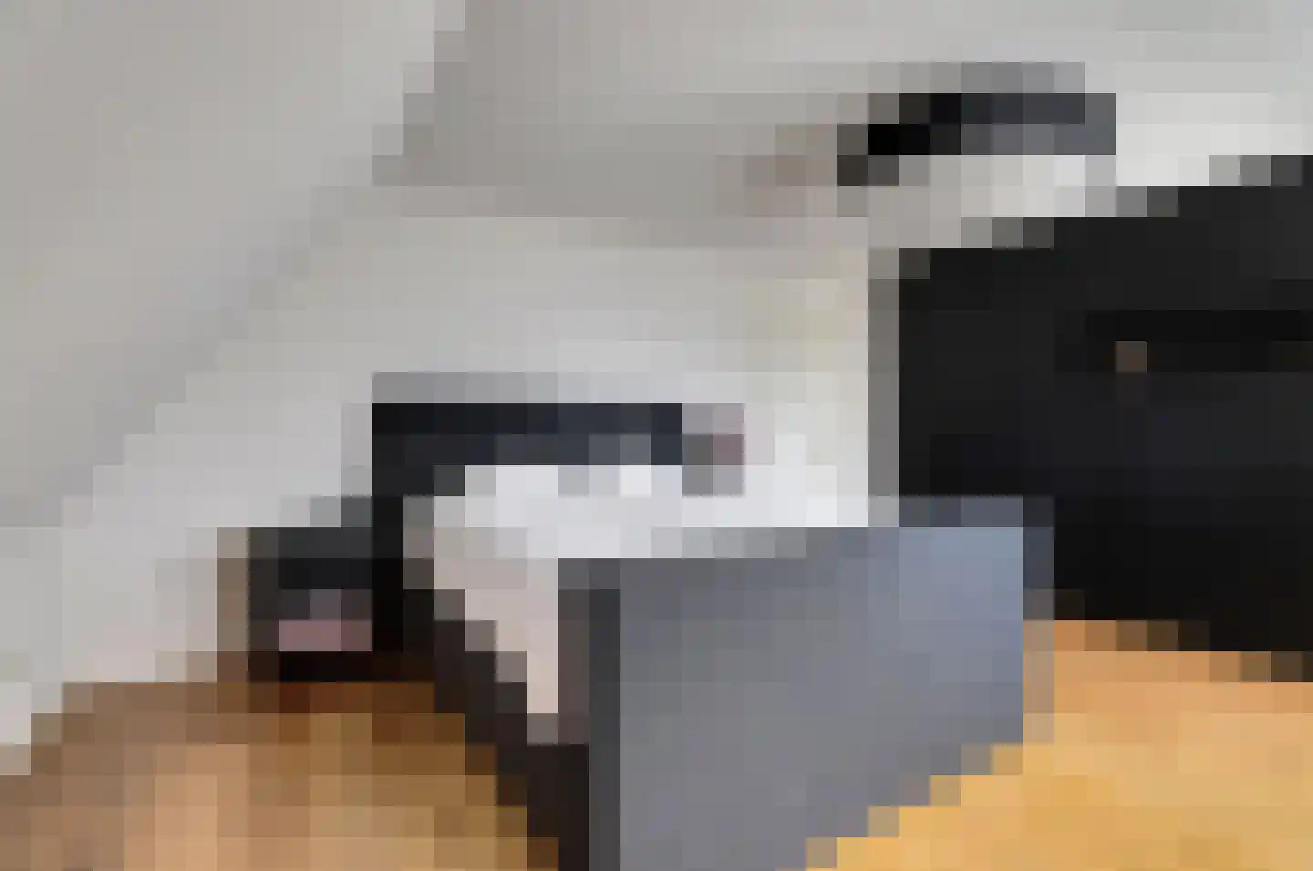 Oostelijke Koppelveenweg 12 Emmer-Compascuum thumbnail 21