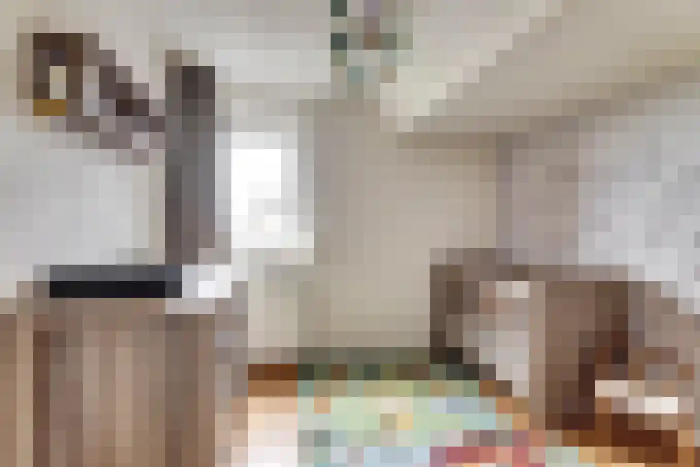 Oostelijke Koppelveenweg 12 Emmer-Compascuum thumbnail 22