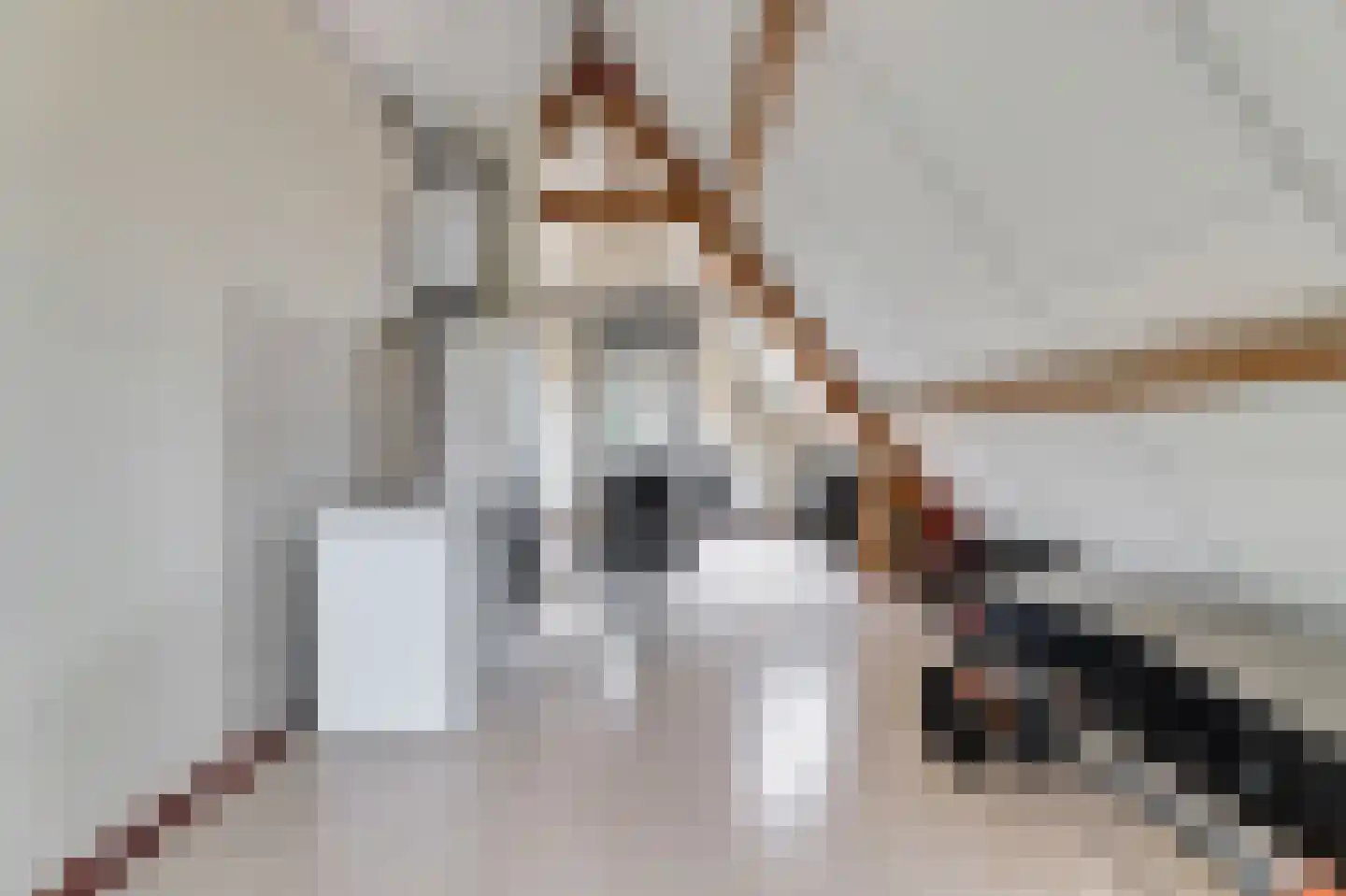 Oostelijke Koppelveenweg 12 Emmer-Compascuum thumbnail 26
