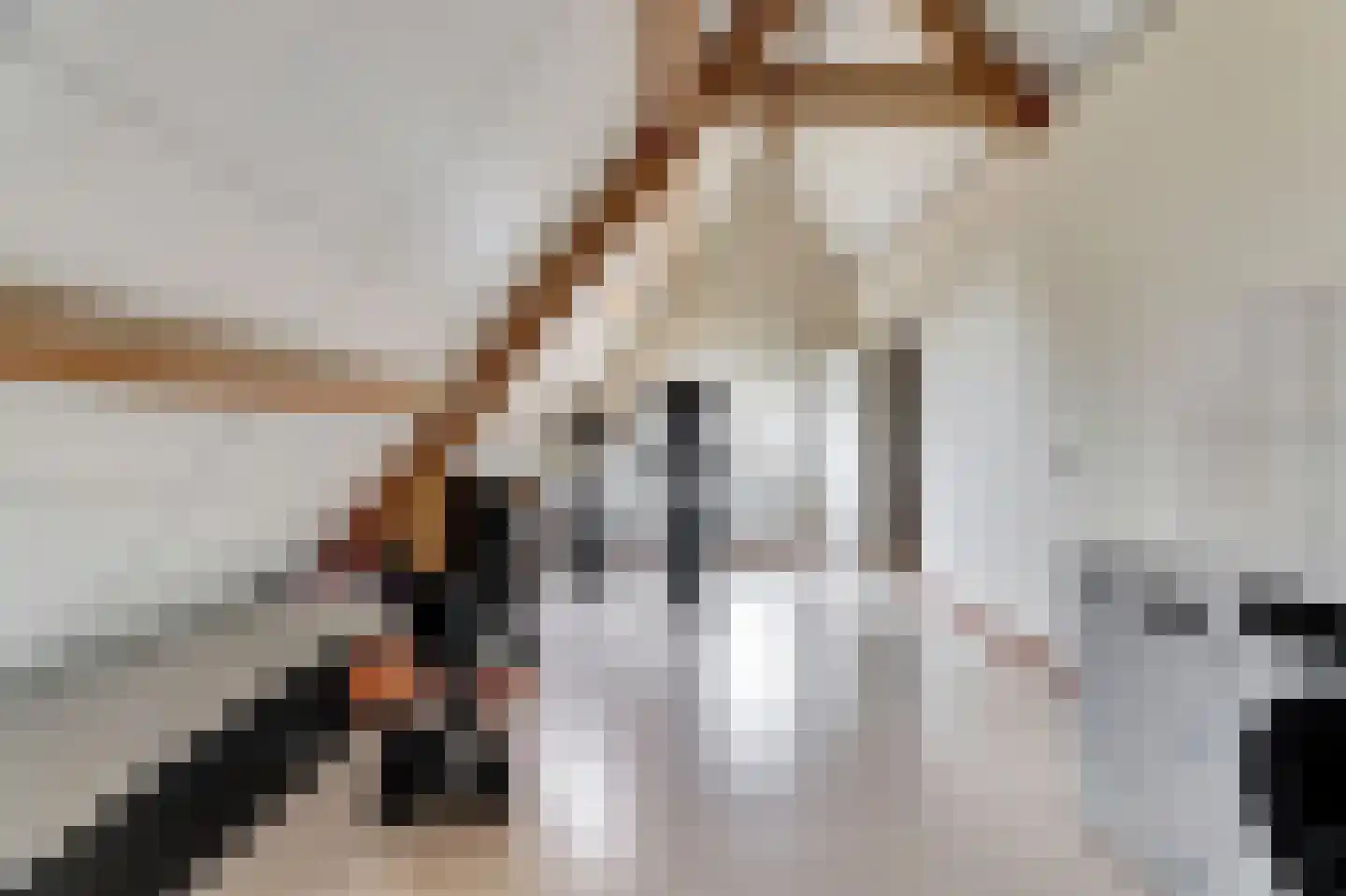 Oostelijke Koppelveenweg 12 Emmer-Compascuum thumbnail 27