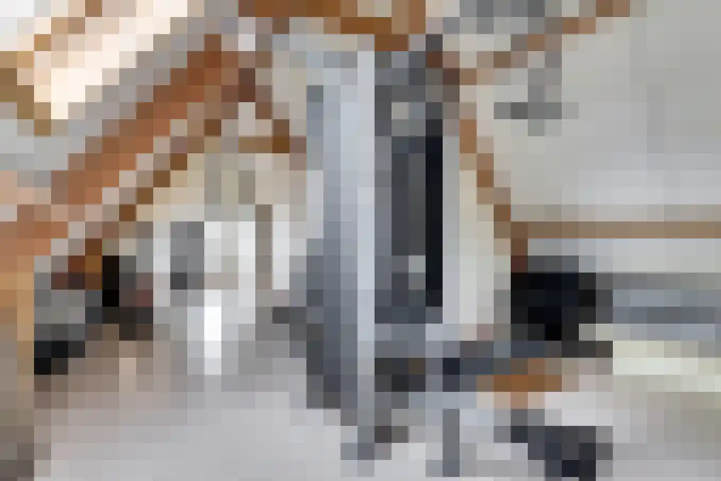 Oostelijke Koppelveenweg 12 Emmer-Compascuum thumbnail 28