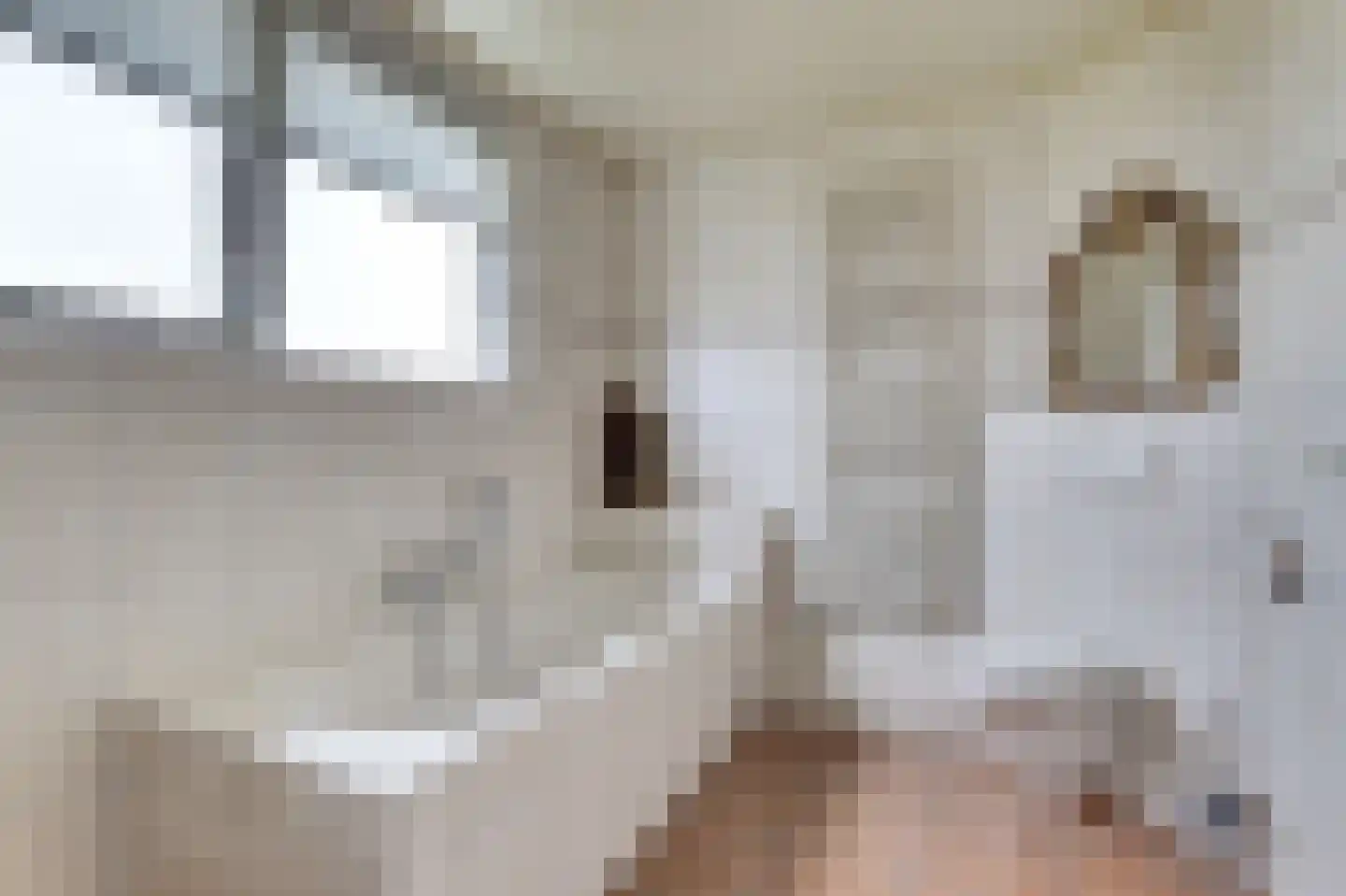 Oostelijke Koppelveenweg 12 Emmer-Compascuum thumbnail 32
