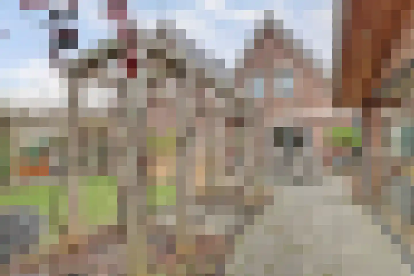 Oostelijke Koppelveenweg 12 Emmer-Compascuum thumbnail 33