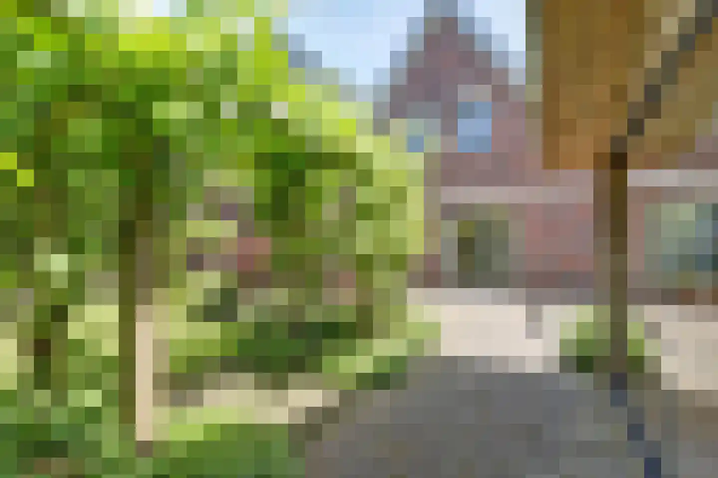 Oostelijke Koppelveenweg 12 Emmer-Compascuum thumbnail 33