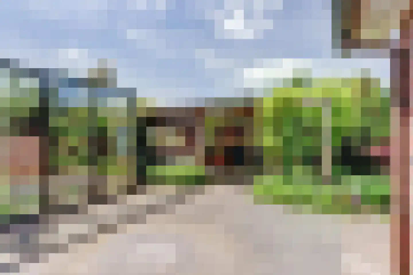 Oostelijke Koppelveenweg 12 Emmer-Compascuum thumbnail 34