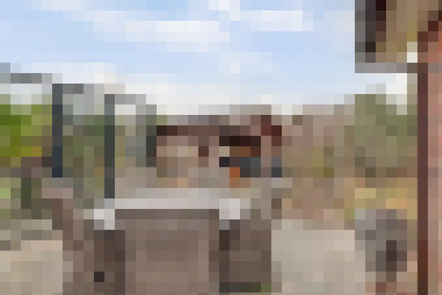 Oostelijke Koppelveenweg 12 Emmer-Compascuum thumbnail 35