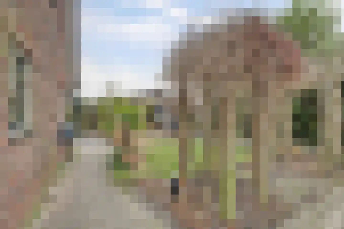 Oostelijke Koppelveenweg 12 Emmer-Compascuum thumbnail 36