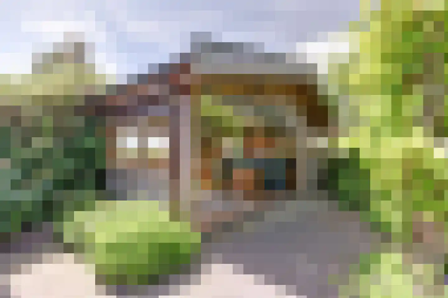 Oostelijke Koppelveenweg 12 Emmer-Compascuum thumbnail 36