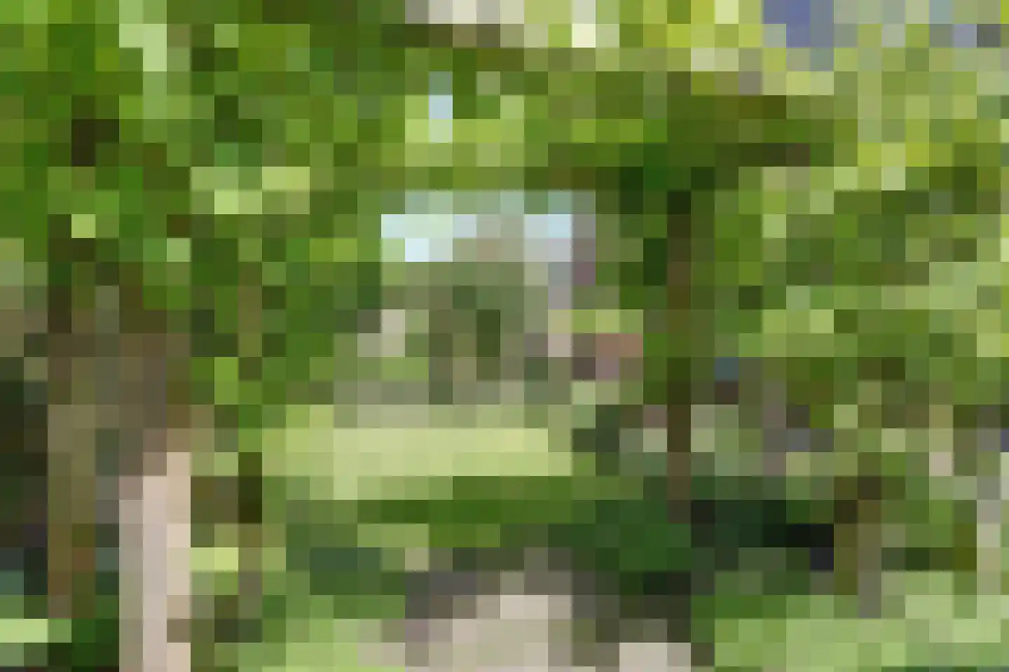 Oostelijke Koppelveenweg 12 Emmer-Compascuum thumbnail 39