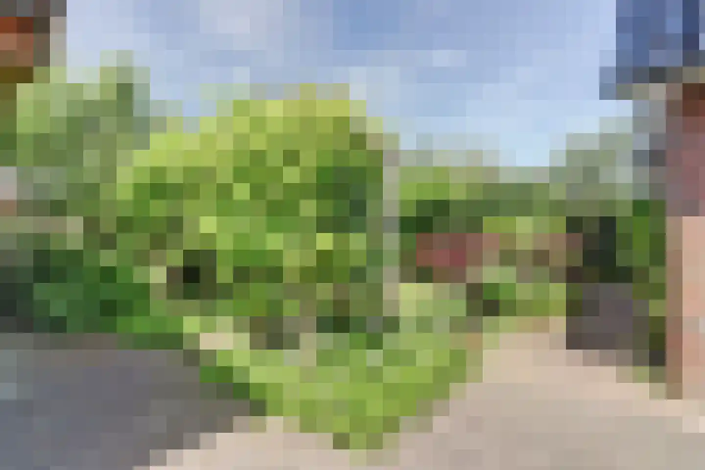 Oostelijke Koppelveenweg 12 Emmer-Compascuum thumbnail 41
