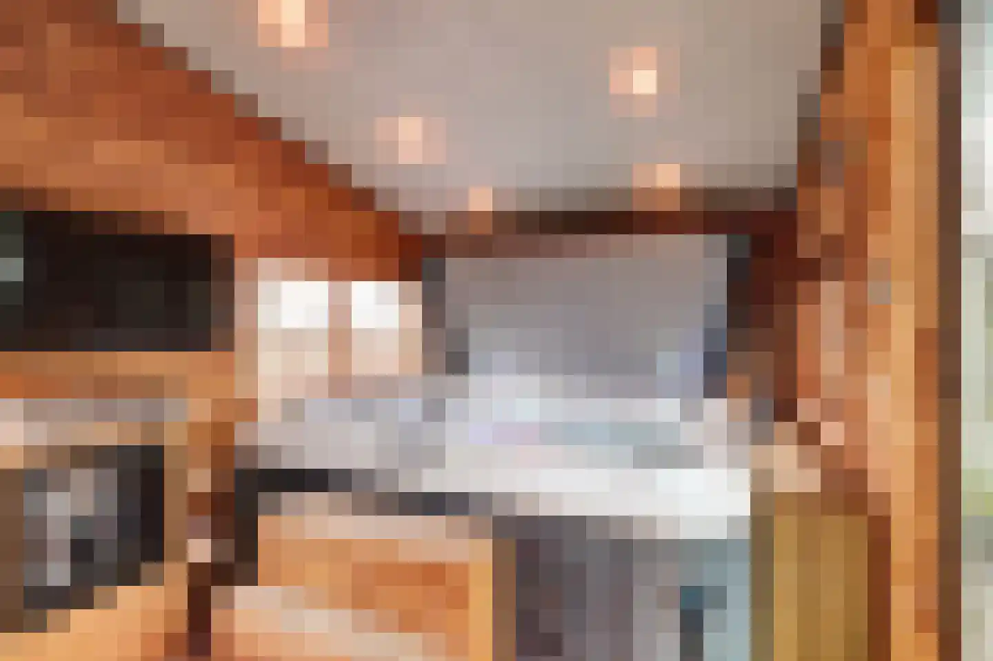 Oostelijke Koppelveenweg 12 Emmer-Compascuum thumbnail 42