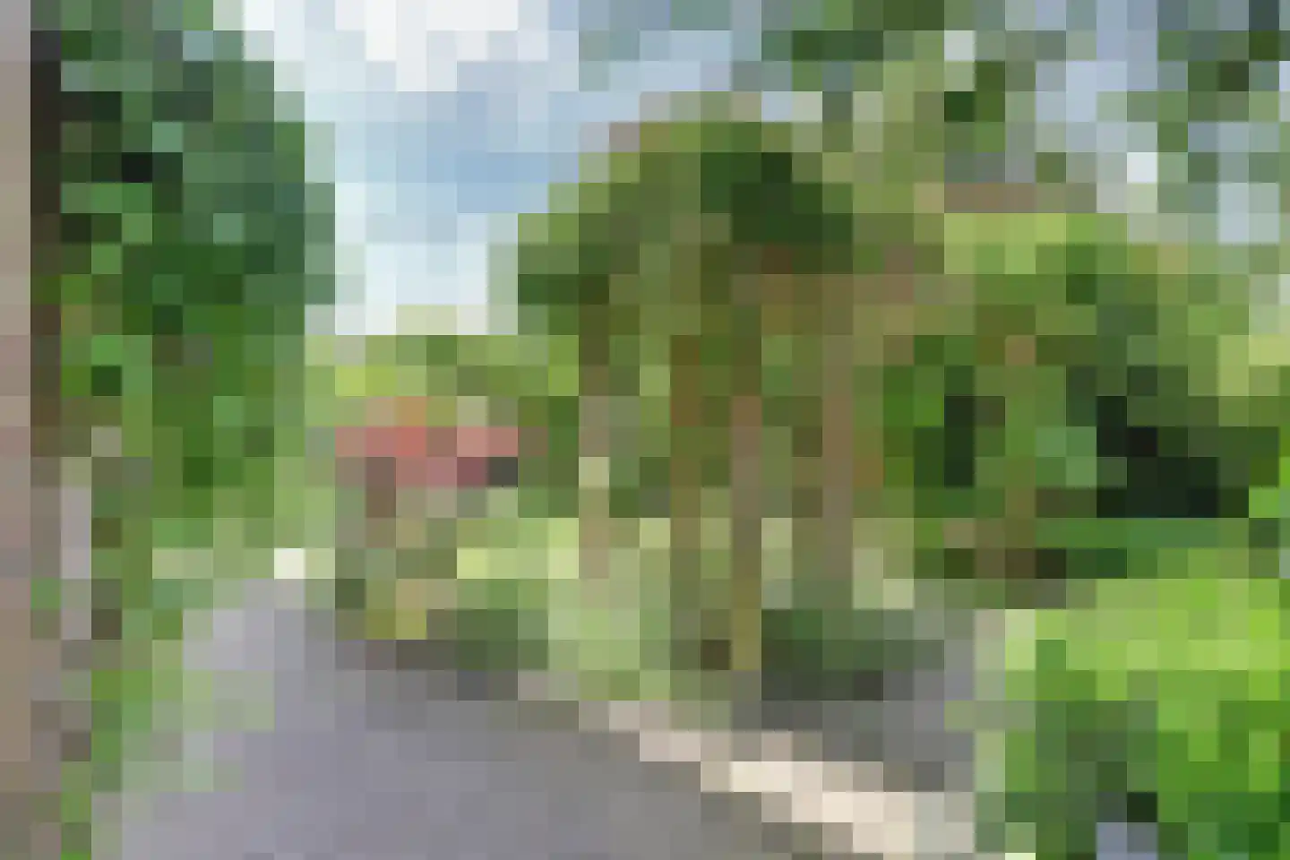 Oostelijke Koppelveenweg 12 Emmer-Compascuum thumbnail 42