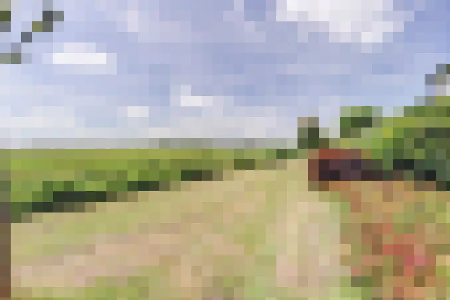 Oostelijke Koppelveenweg 12 Emmer-Compascuum thumbnail 46