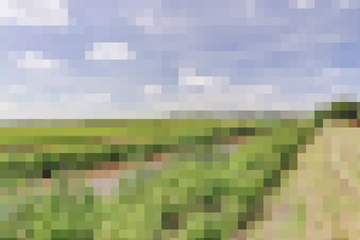 Oostelijke Koppelveenweg 12 Emmer-Compascuum thumbnail 47