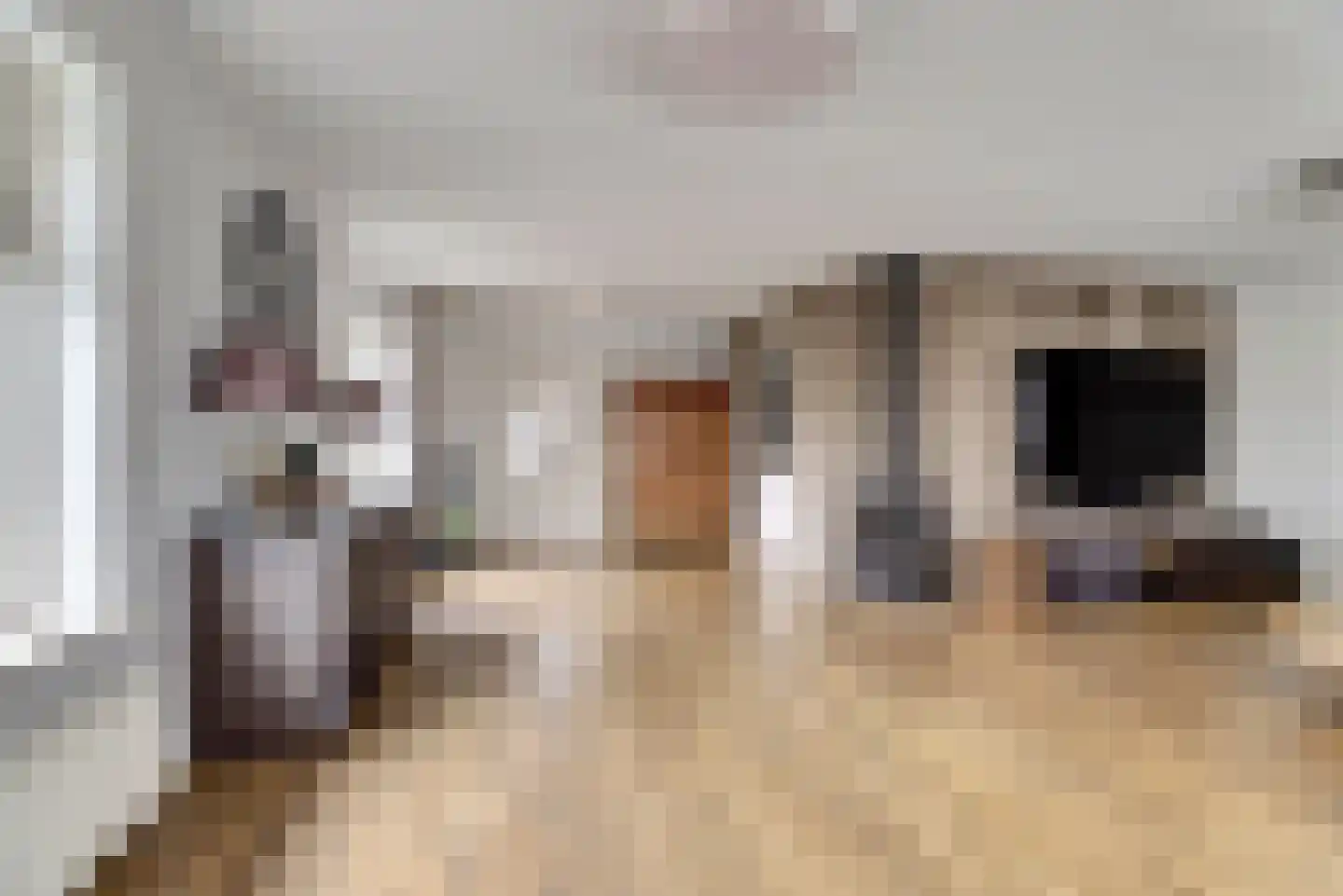 Oostelijke Koppelveenweg 12 Emmer-Compascuum thumbnail 5