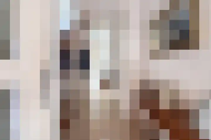 Oostelijke Koppelveenweg 4 Emmer-Compascuum thumbnail 11