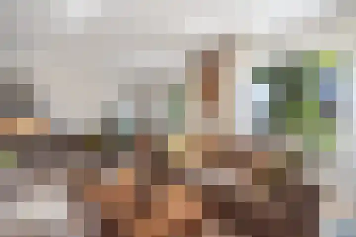 Oostelijke Koppelveenweg 4 Emmer-Compascuum thumbnail 14