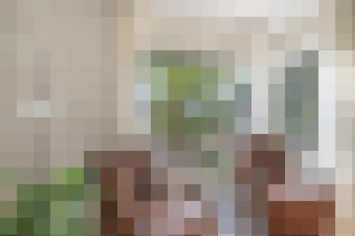 Oostelijke Koppelveenweg 4 Emmer-Compascuum thumbnail 15