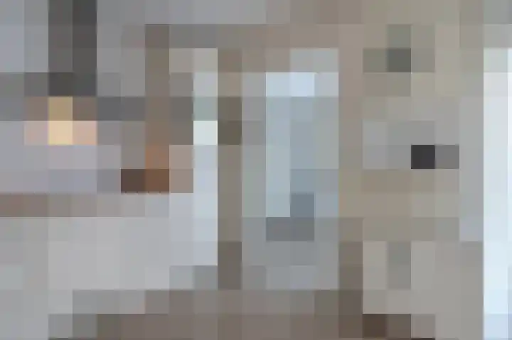 Oostelijke Koppelveenweg 4 Emmer-Compascuum thumbnail 20