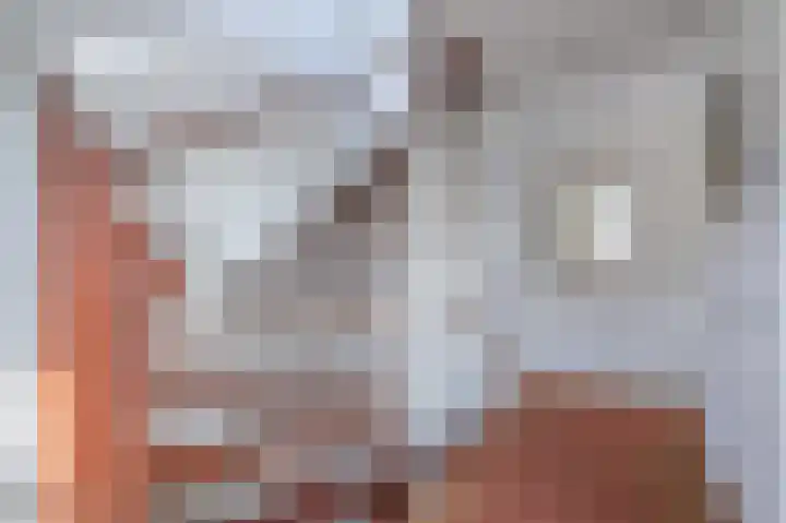 Oostelijke Koppelveenweg 4 Emmer-Compascuum thumbnail 23