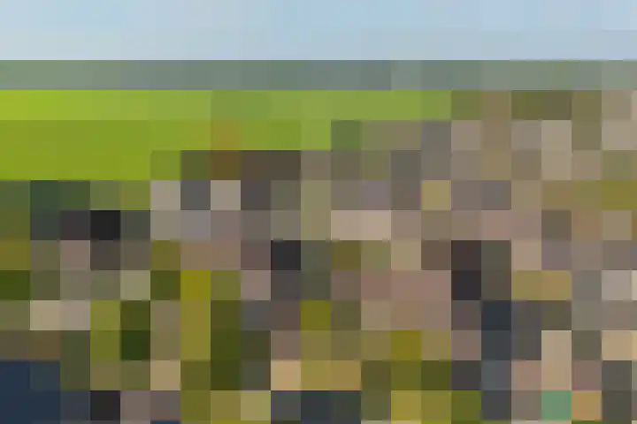 Oostelijke Koppelveenweg 4 Emmer-Compascuum thumbnail 35