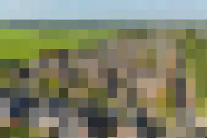 Oostelijke Koppelveenweg 4 Emmer-Compascuum thumbnail 36
