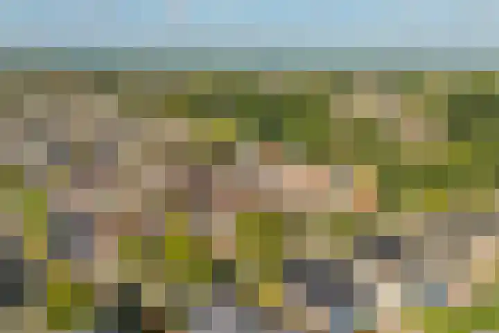 Oostelijke Koppelveenweg 4 Emmer-Compascuum thumbnail 37