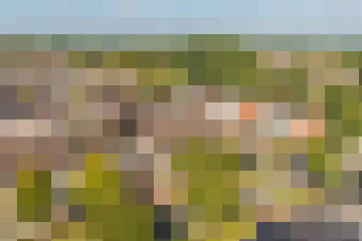 Oostelijke Koppelveenweg 4 Emmer-Compascuum thumbnail 38