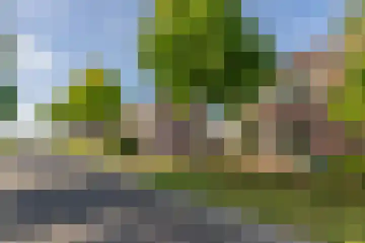 Oostelijke Koppelveenweg 4 Emmer-Compascuum thumbnail 4
