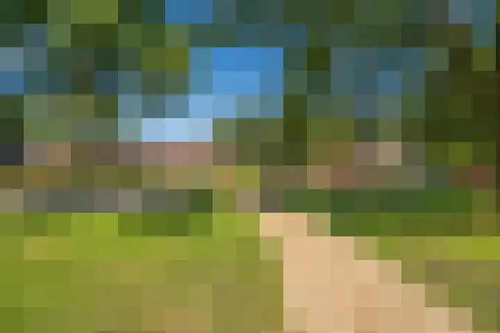 Oostelijke Koppelveenweg 4 Emmer-Compascuum thumbnail 41