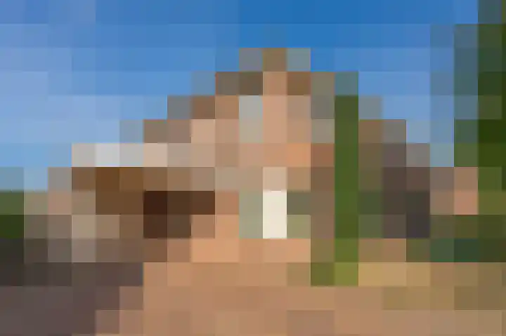 Oostelijke Koppelveenweg 4 Emmer-Compascuum thumbnail 5