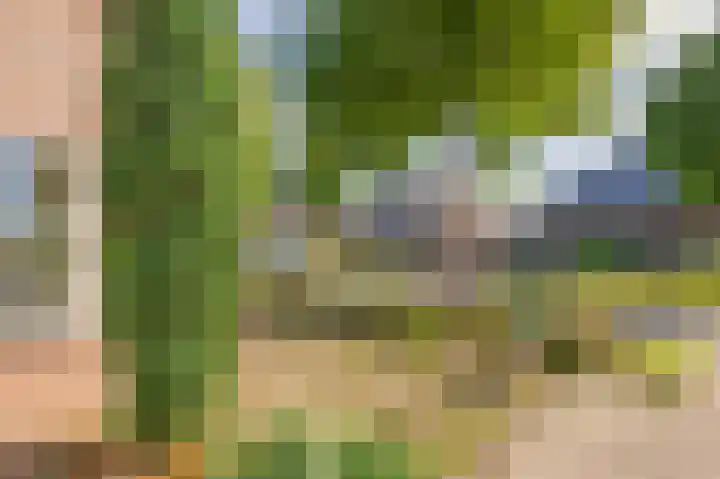 Oostelijke Koppelveenweg 4 Emmer-Compascuum thumbnail 7