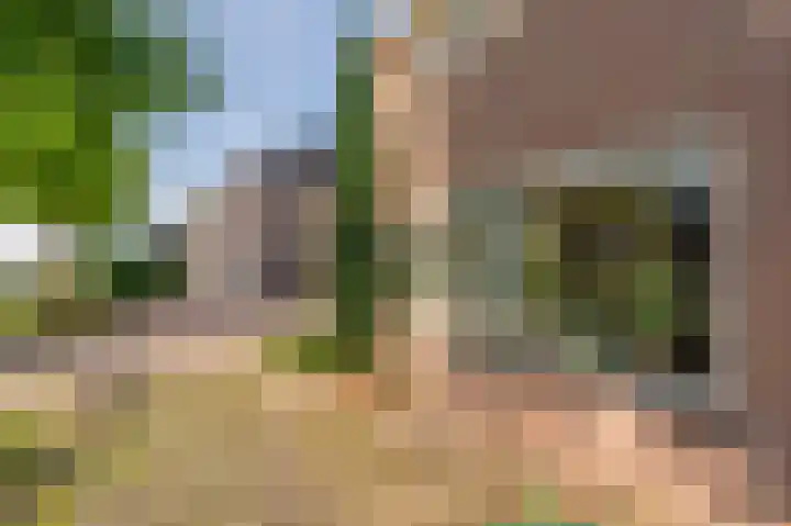 Oostelijke Koppelveenweg 4 Emmer-Compascuum thumbnail 8
