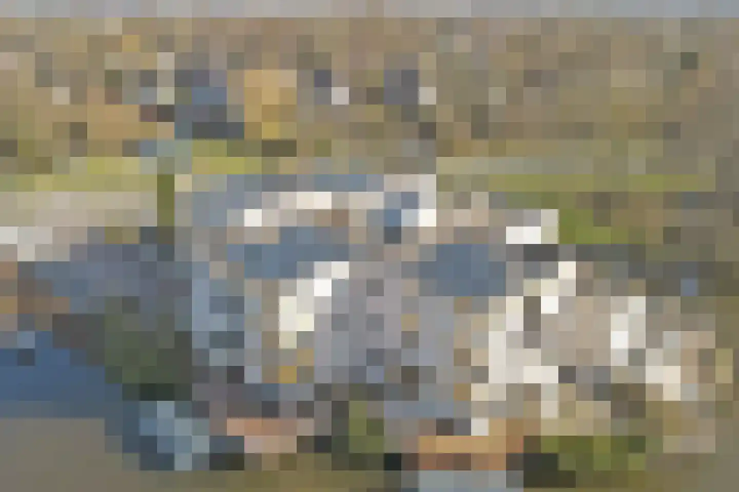 Oostelijke Randweg 29 Zuid-Scharwoude thumbnail 44