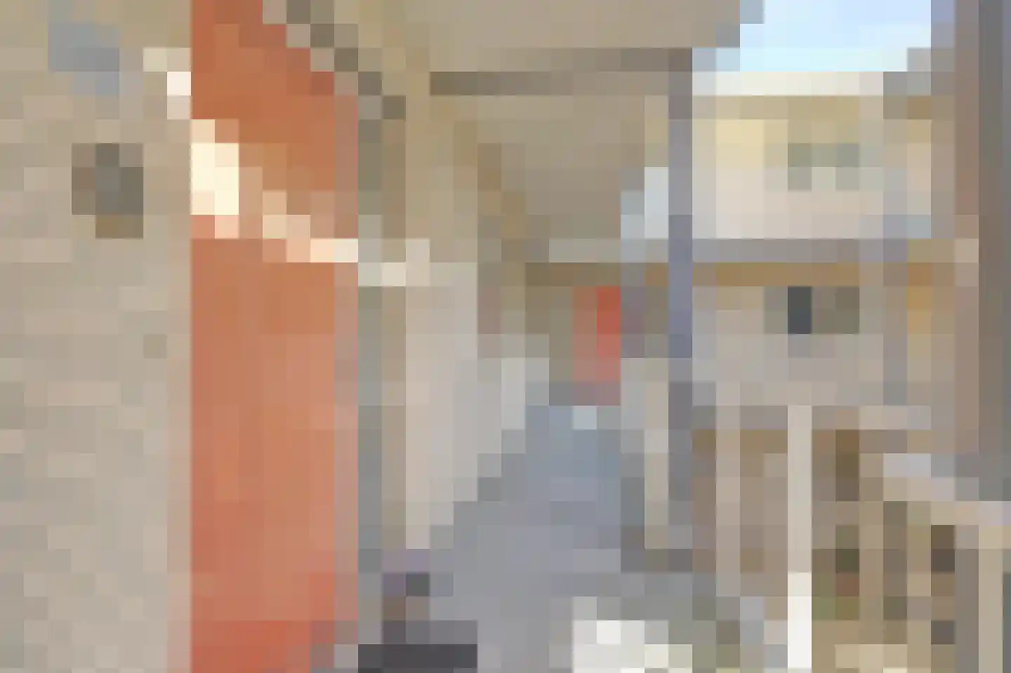 Oostelijke Randweg 29 Zuid-Scharwoude thumbnail 9