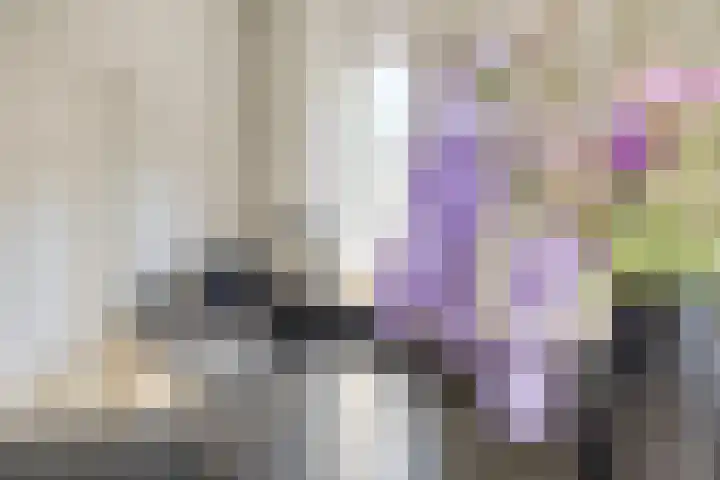 Oostelvoortjes 6 Moergestel thumbnail 14