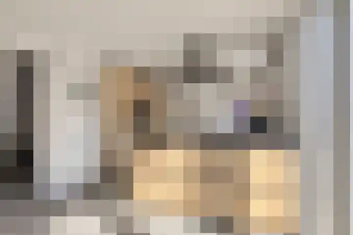 Oostelvoortjes 6 Moergestel thumbnail 16