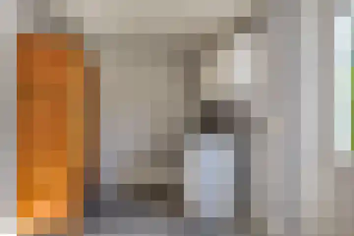 Oostelvoortjes 6 Moergestel thumbnail 18