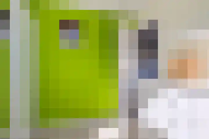 Oostelvoortjes 6 Moergestel thumbnail 25