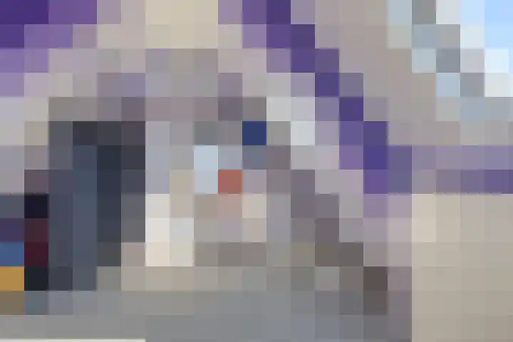 Oostelvoortjes 6 Moergestel thumbnail 29