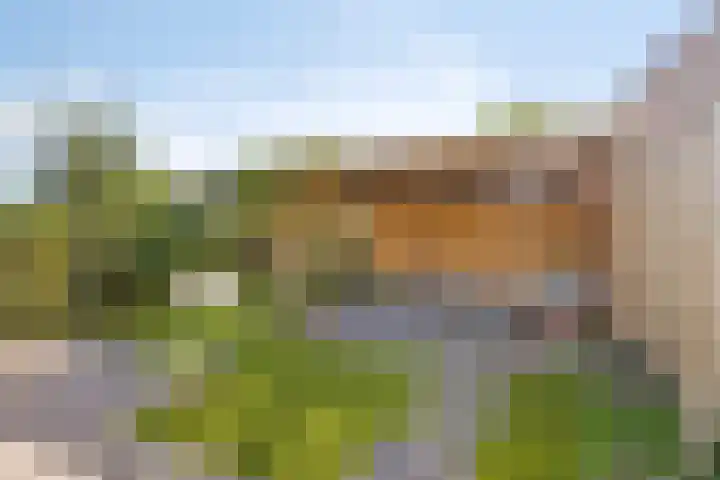Oostelvoortjes 6 Moergestel thumbnail 30