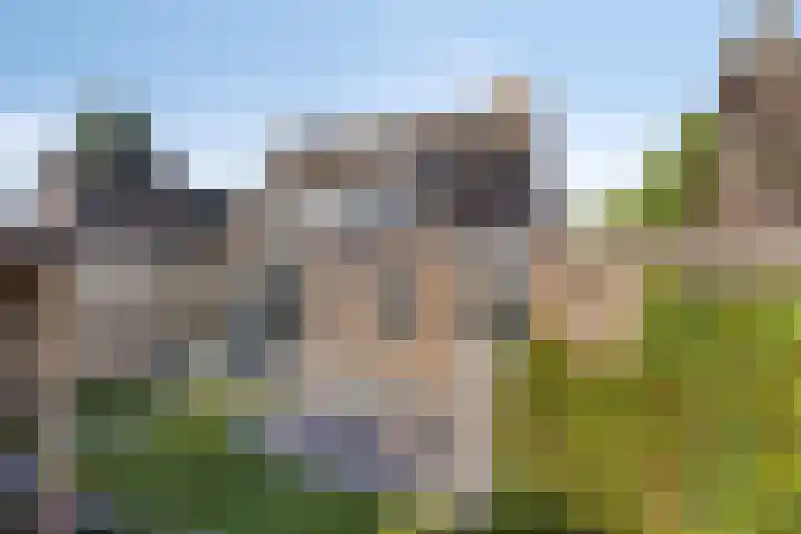 Oostelvoortjes 6 Moergestel thumbnail 31