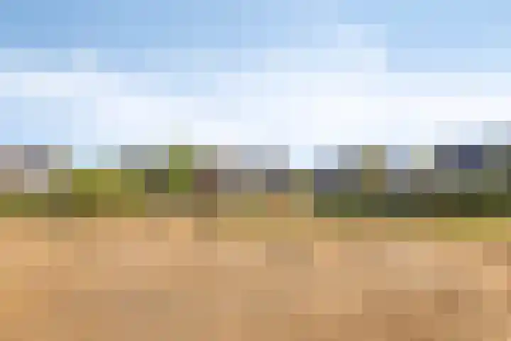 Oostelvoortjes 6 Moergestel thumbnail 38