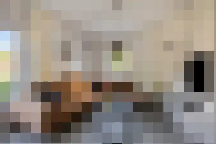 Oostelvoortjes 6 Moergestel thumbnail 6