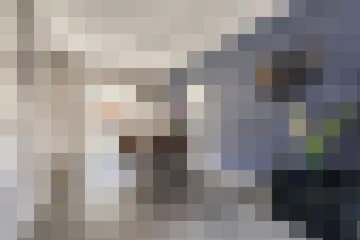 Oostelvoortjes 6 Moergestel thumbnail 8